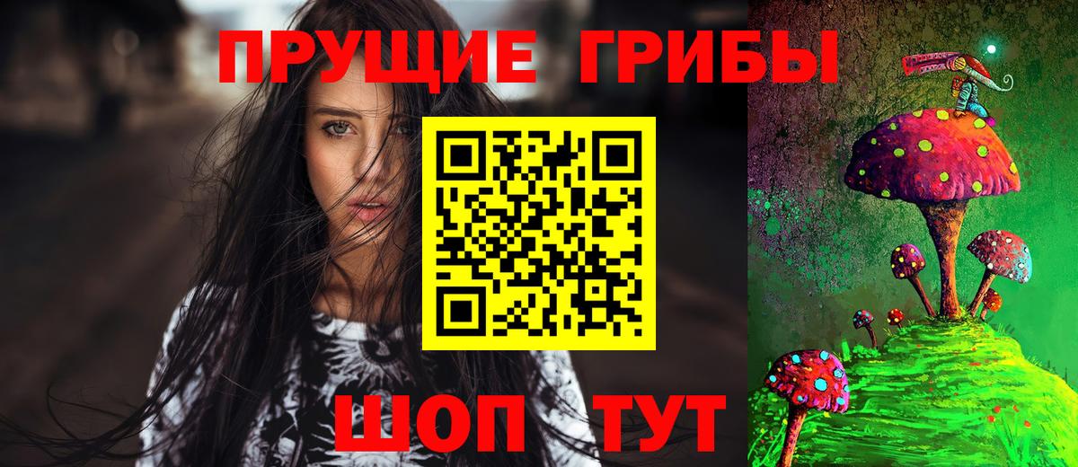 Псилоцибиновые грибы GOLDEN TEACHER Барнаул